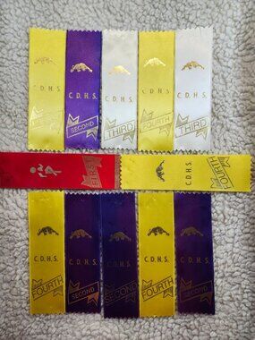 Vintage School Award Ribbons Lot CDHS First Second Third Fourth Gold Foil Satin